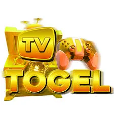 TVTOGEL - Pertarungan Seru dalam Dunia Fighting